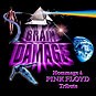 Brain Damage, Hommage à Pink Floyd