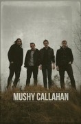 The Mushy Callahan + The New Rome + Casino + Feedback