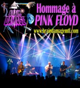 Brain Damage, Hommage à Pink Floyd