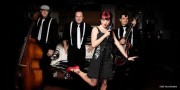 Melvis & The Jive Cats