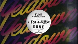 Disco Jungle vol. 33 | Dane (Common Edit)
