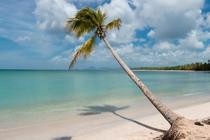 Martinique et Guadeloupe - Les îles du vent