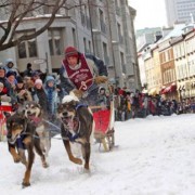 The Carnival's Dog Sledding Race
