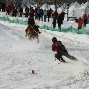 Ski Joring Competition