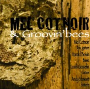 Mel Cotnoir & Groovin'bees - Groove Music Project